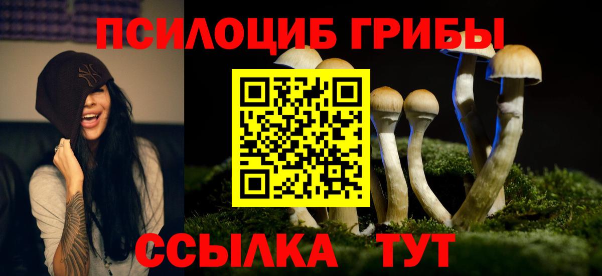 Галлюциногенные грибы Cubensis  Псилоцибиновые грибы Magic Shrooms  Вход с VPN  Норильск 